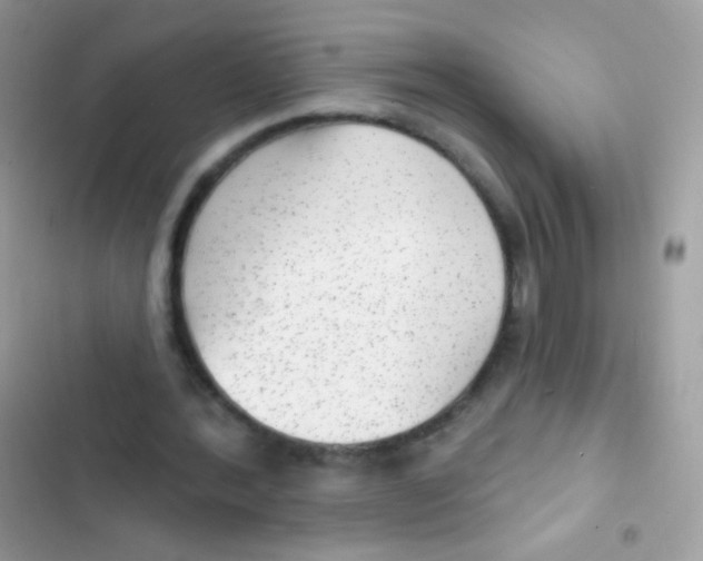 X0000103150388200809192034