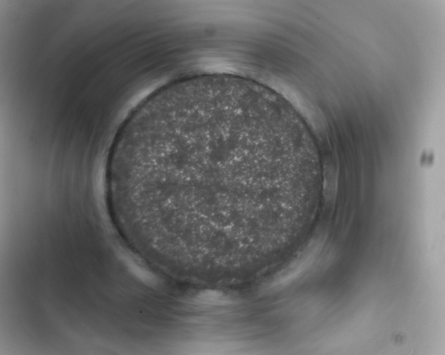 X0000103150390200809192034