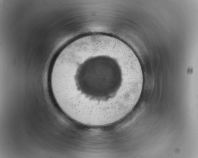 X0000103150391200809192034