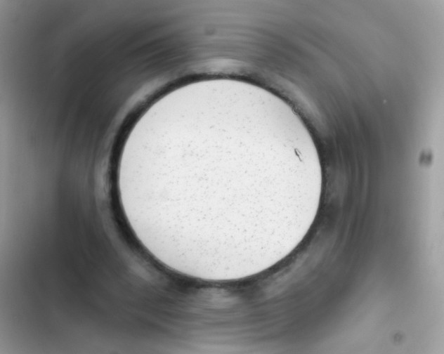 X0000103150392200809192034