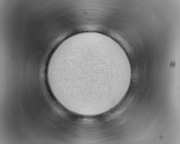 X0000103150394200809192034