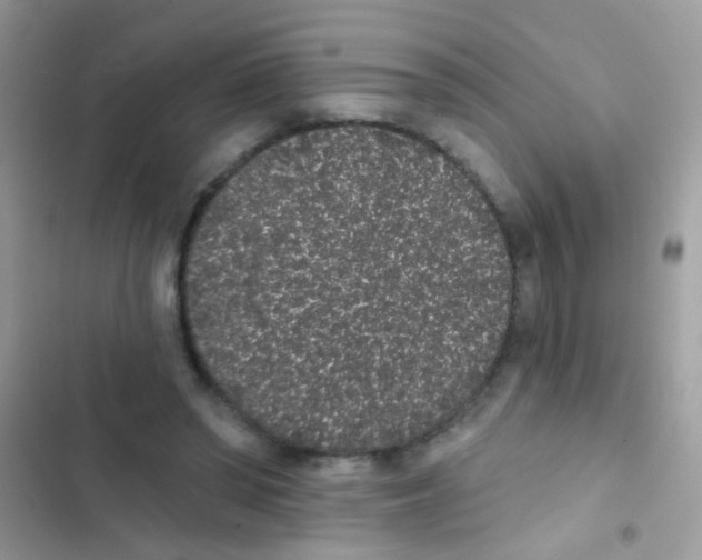 X0000103150398200809192034