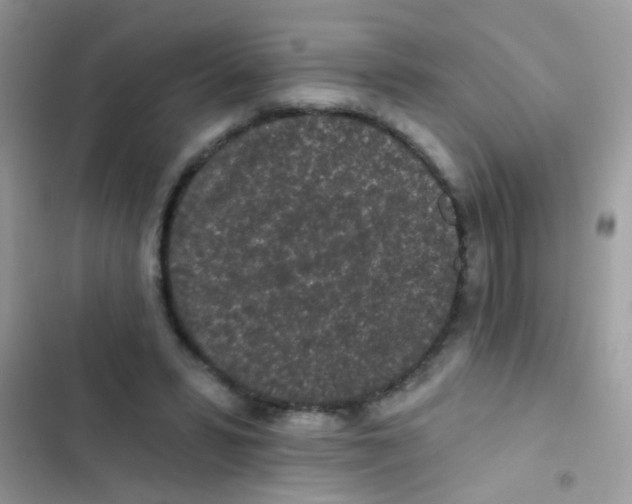 X0000103150399200809192034