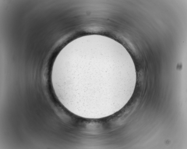 X0000103150400200809192034