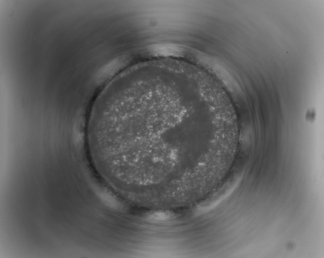 X0000103150402200809192034