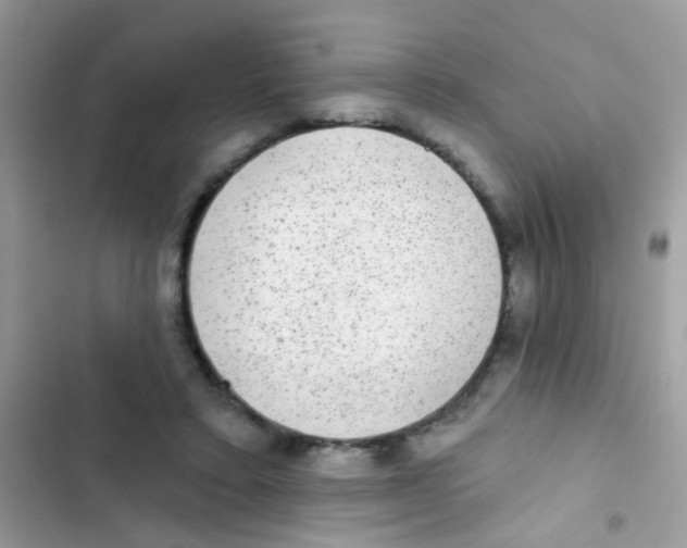 X0000103150403200809192034