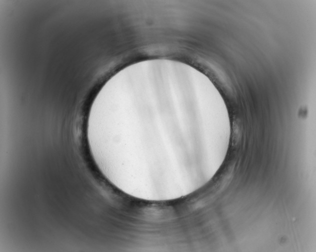 X0000103150404200809192034