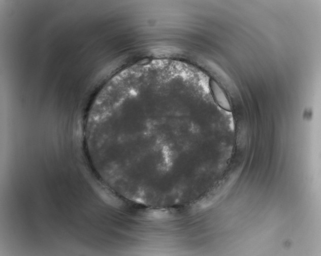 X0000103150405200809192034