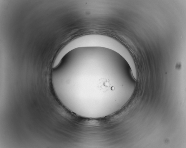 X0000103150409200809192034