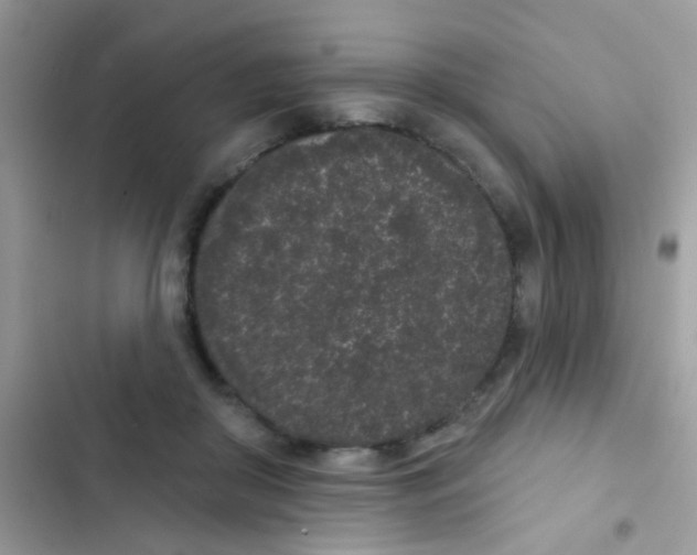 X0000103150410200809192034