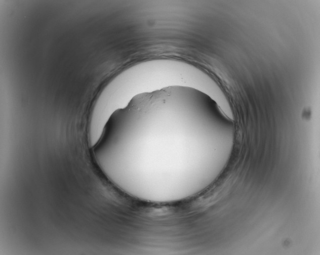 X0000103150411200809192034