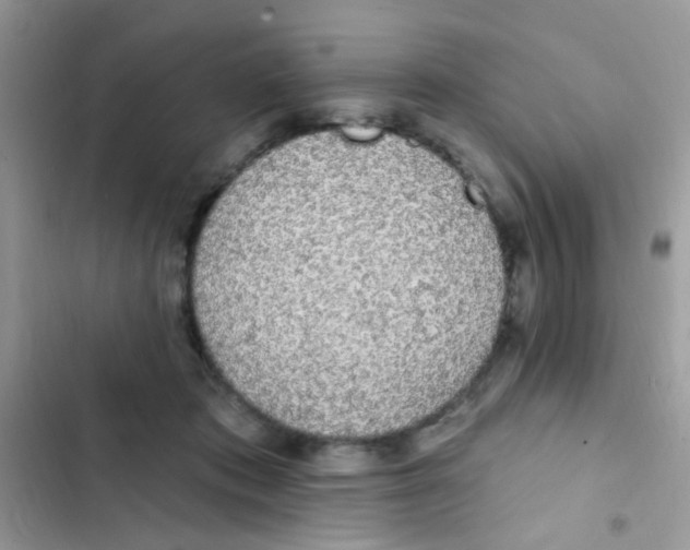 X0000103150413200809192034