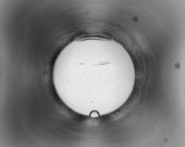 X0000103150416200809192034