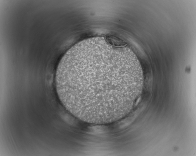 X0000103150417200809192034