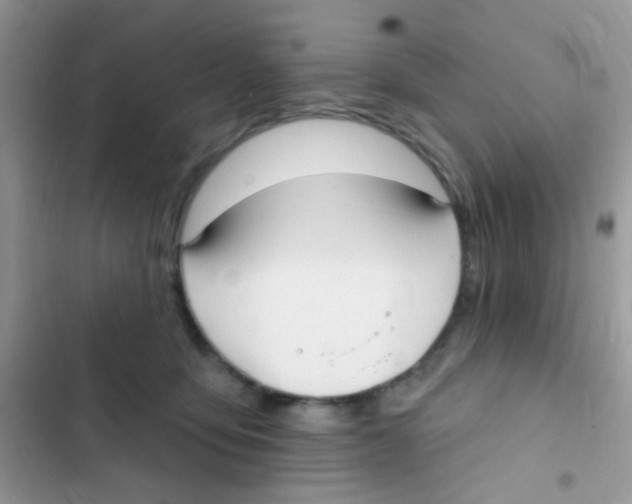 X0000103150419200809192034