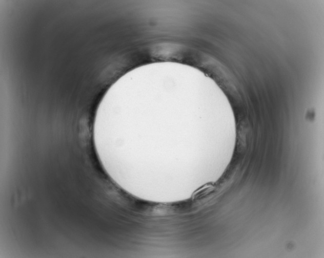 X0000103150420200809192034