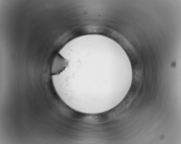 X0000103150422200809192034