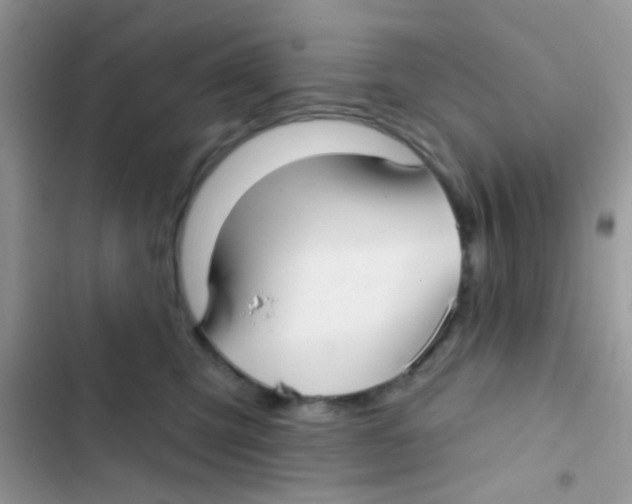 X0000103150423200809192034