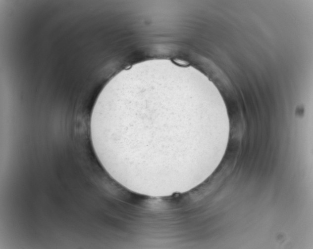 X0000103150425200809192034