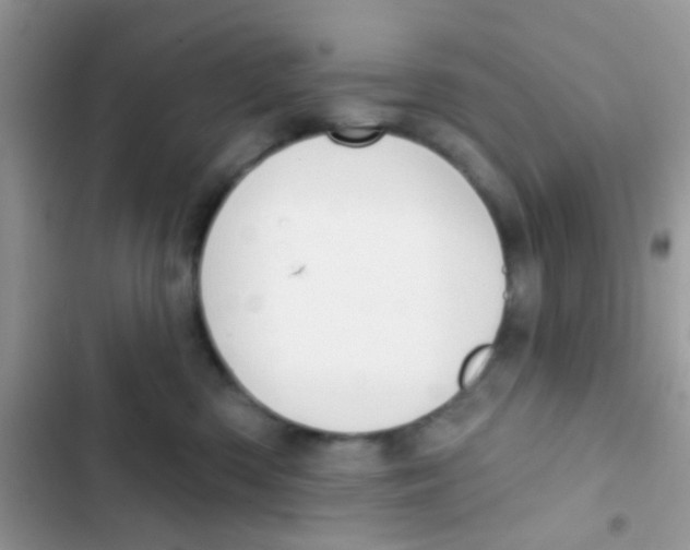 X0000103150426200809192034