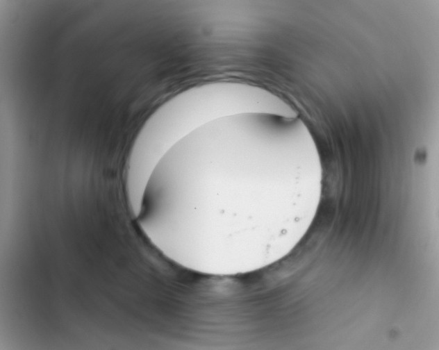 X0000103150427200809192034