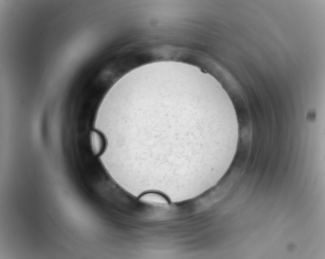 X0000103150429200809192034