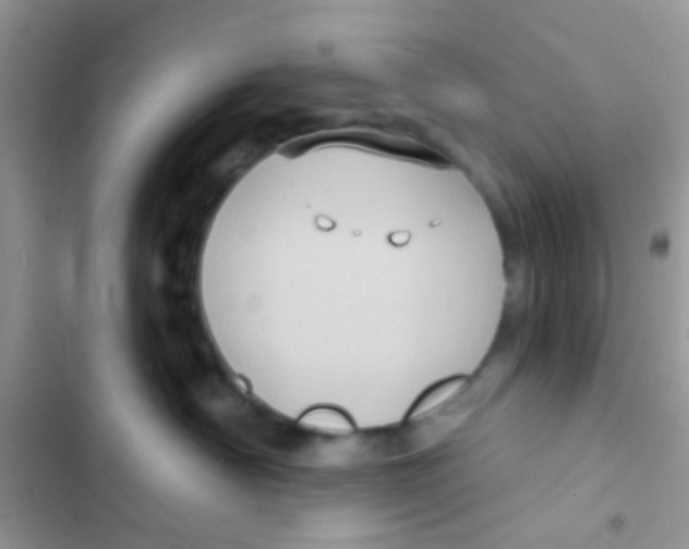 X0000103150430200809192034