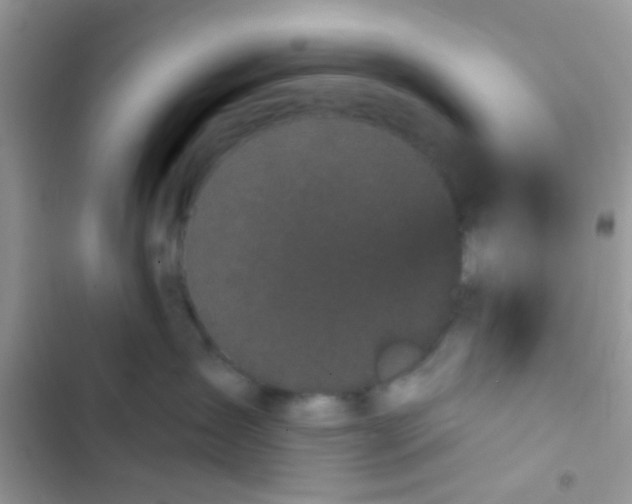 X0000103150431200809192034