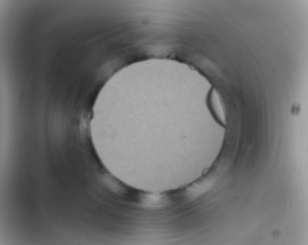 X0000103150432200809192034