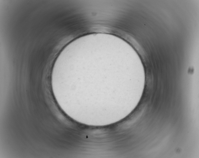 X0000103150433200809192033