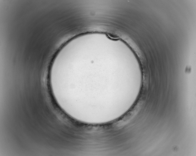 X0000103150434200809192033