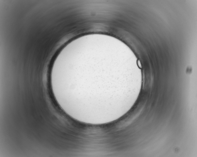 X0000103150435200809192033