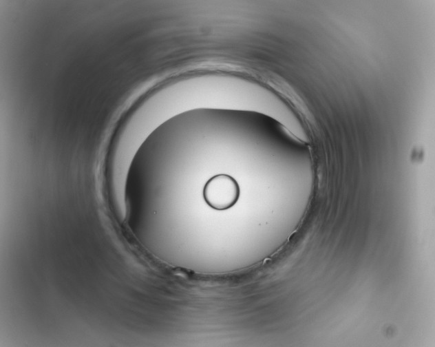 X0000103150436200809192033