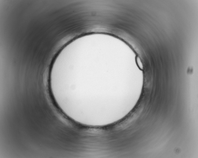 X0000103150437200809192033