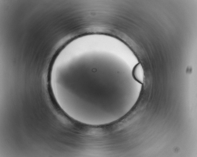 X0000103150438200809192033