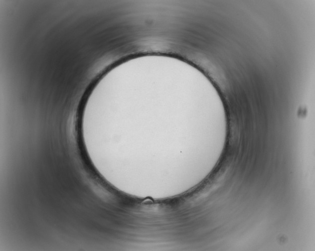 X0000103150439200809192033