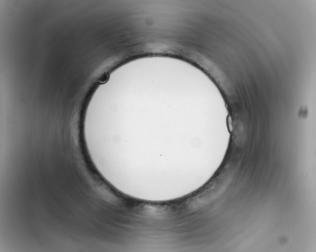 X0000103150442200809192033