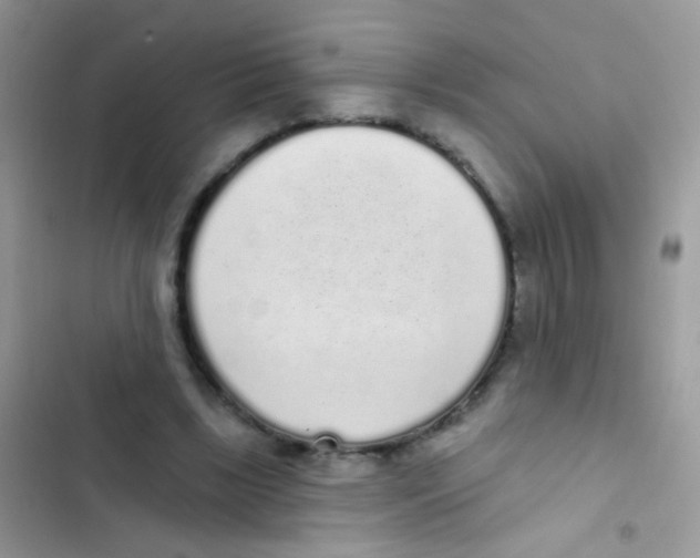 X0000103150443200809192033