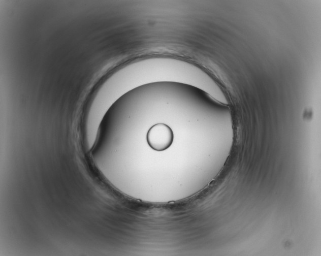 X0000103150444200809192033