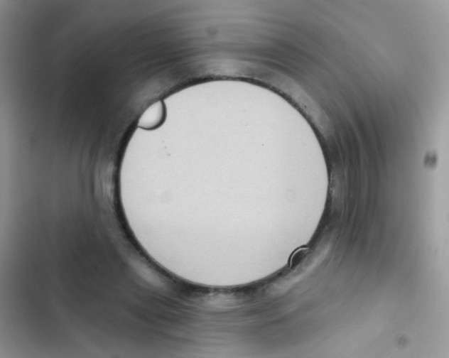 X0000103150445200809192033