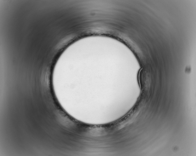 X0000103150446200809192033