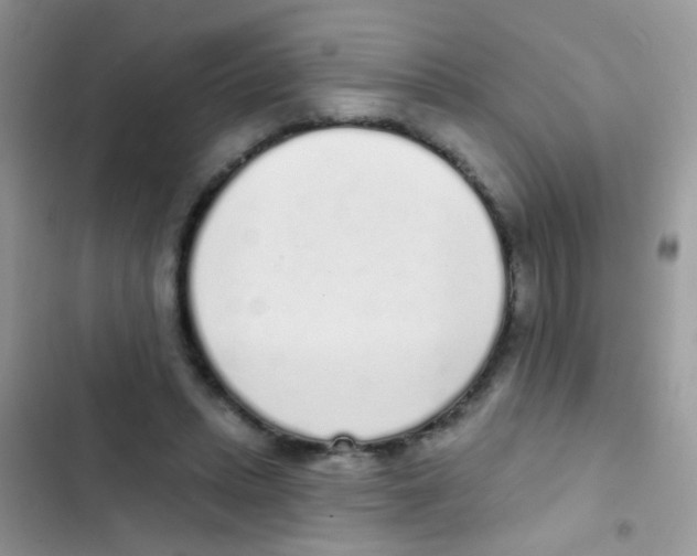 X0000103150447200809192033