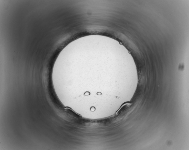 X0000103150448200809192033