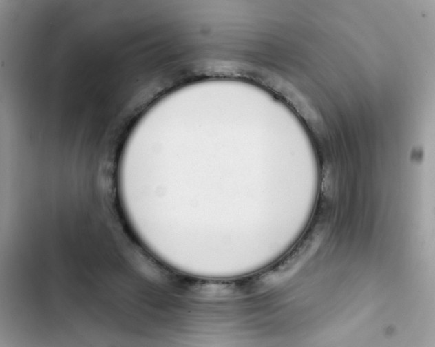 X0000103150449200809192033