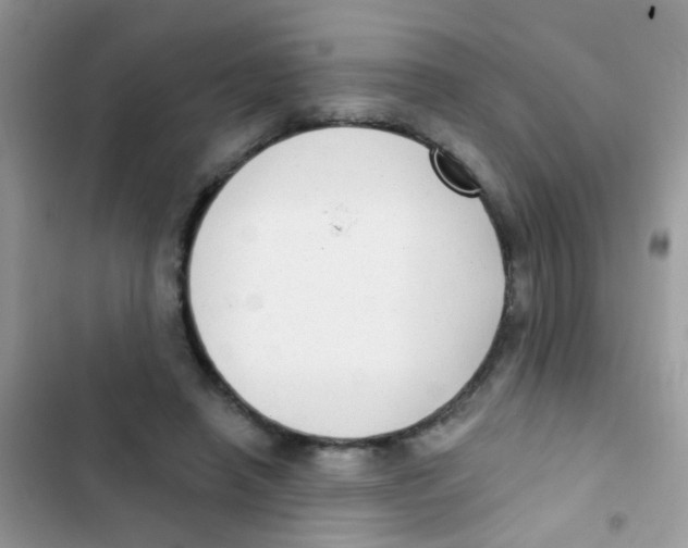 X0000103150450200809192033