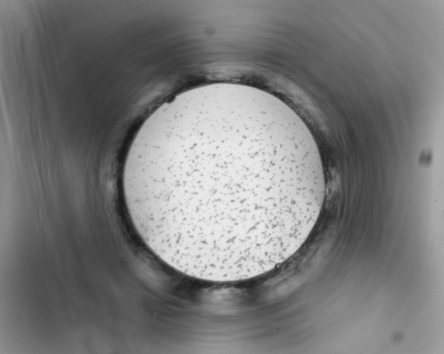 X0000103150452200809192033