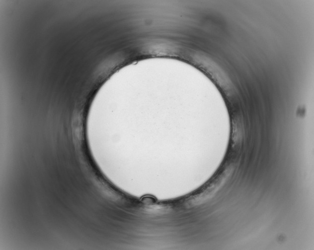 X0000103150453200809192033