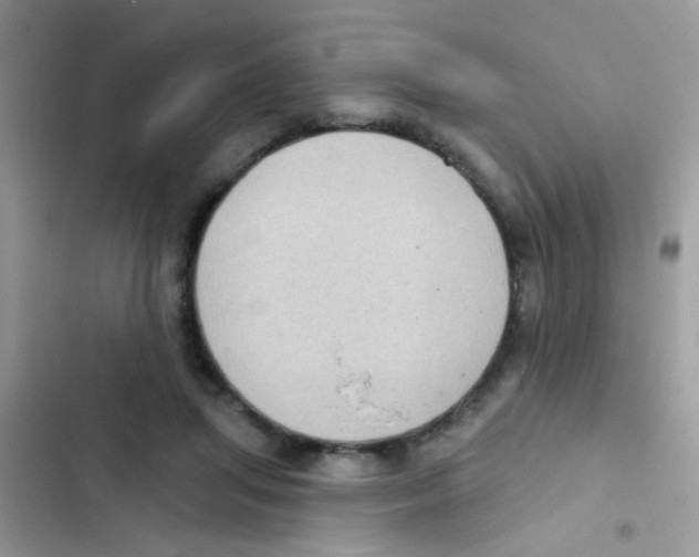 X0000103150455200809192033