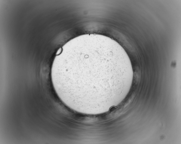 X0000103150458200809192033