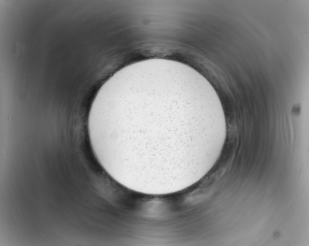 X0000103150460200809192033